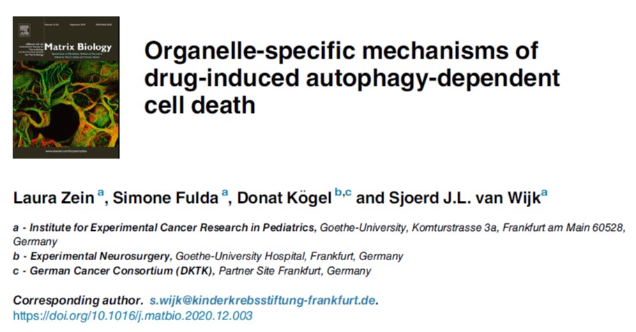 Autophagy cell death SFB1177 Laura Zein Sjoerd van Wijk