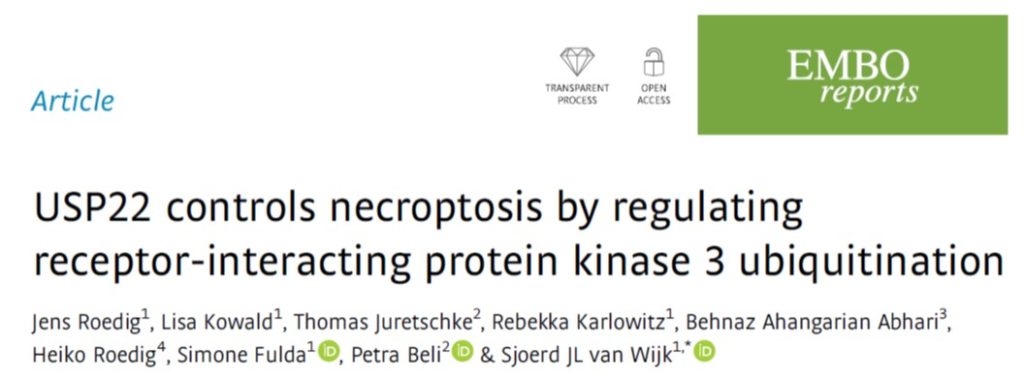 Necroptosis RIPK3 USP22 EMBO Reports ubiquitin Jens Rödig Sjoerd van Wijk
