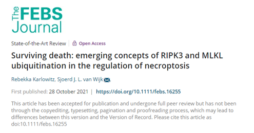 RIPK3 MLKL ubiquitin Goethe necroptosis Sjoerd van Wijk Rebekka Karlowitz